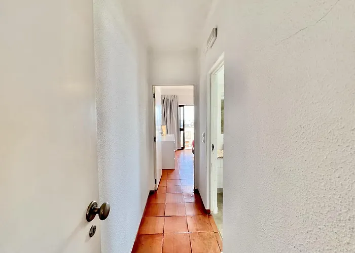 Skylight 2 With Pool By Homing