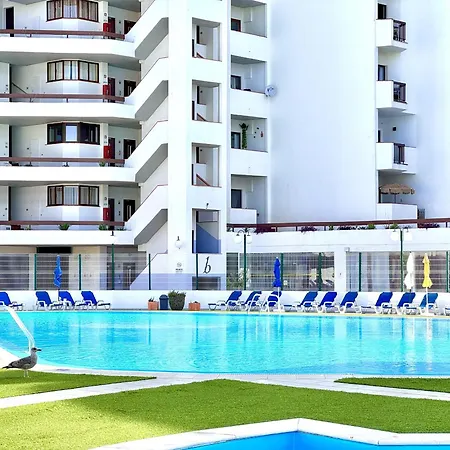 Skylight 2 With Pool By Homing アルブフェイラ