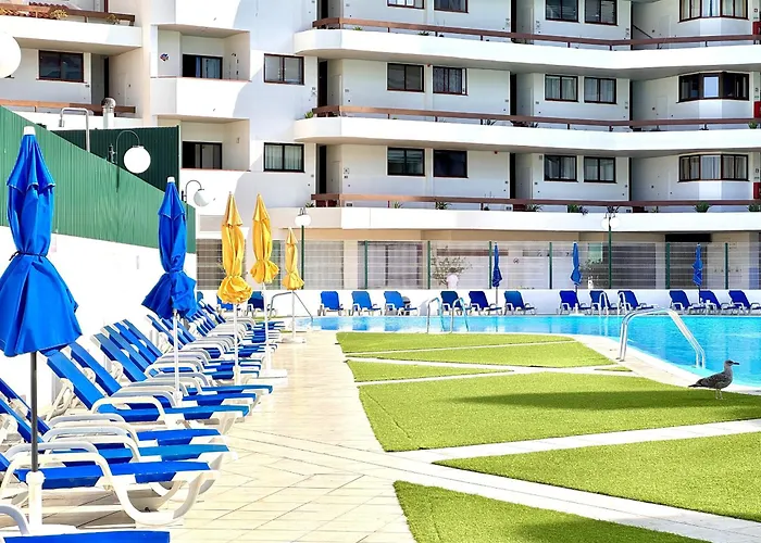 Skylight 2 With Pool By Homing * アルブフェイラ